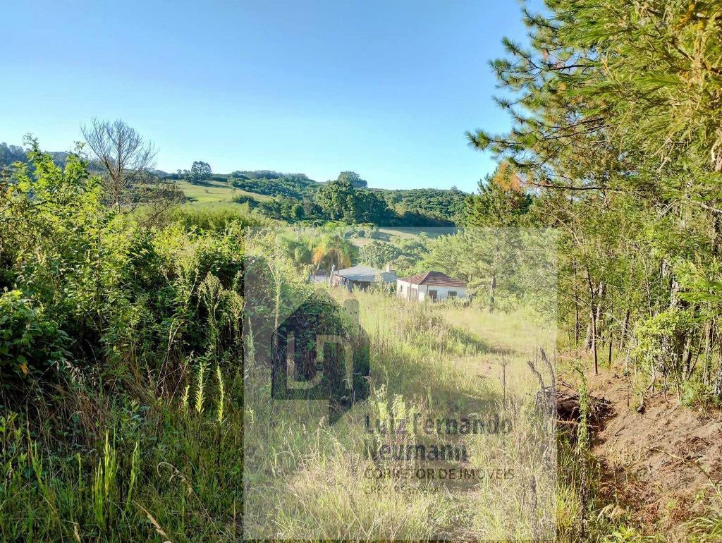 Rural com 2 Quartos à Venda, 640,00 m² - Foto 3