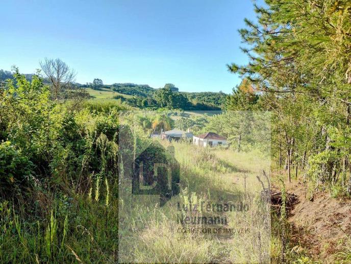 Rural com 2 Quartos à Venda, 640,00 m² - Foto 3