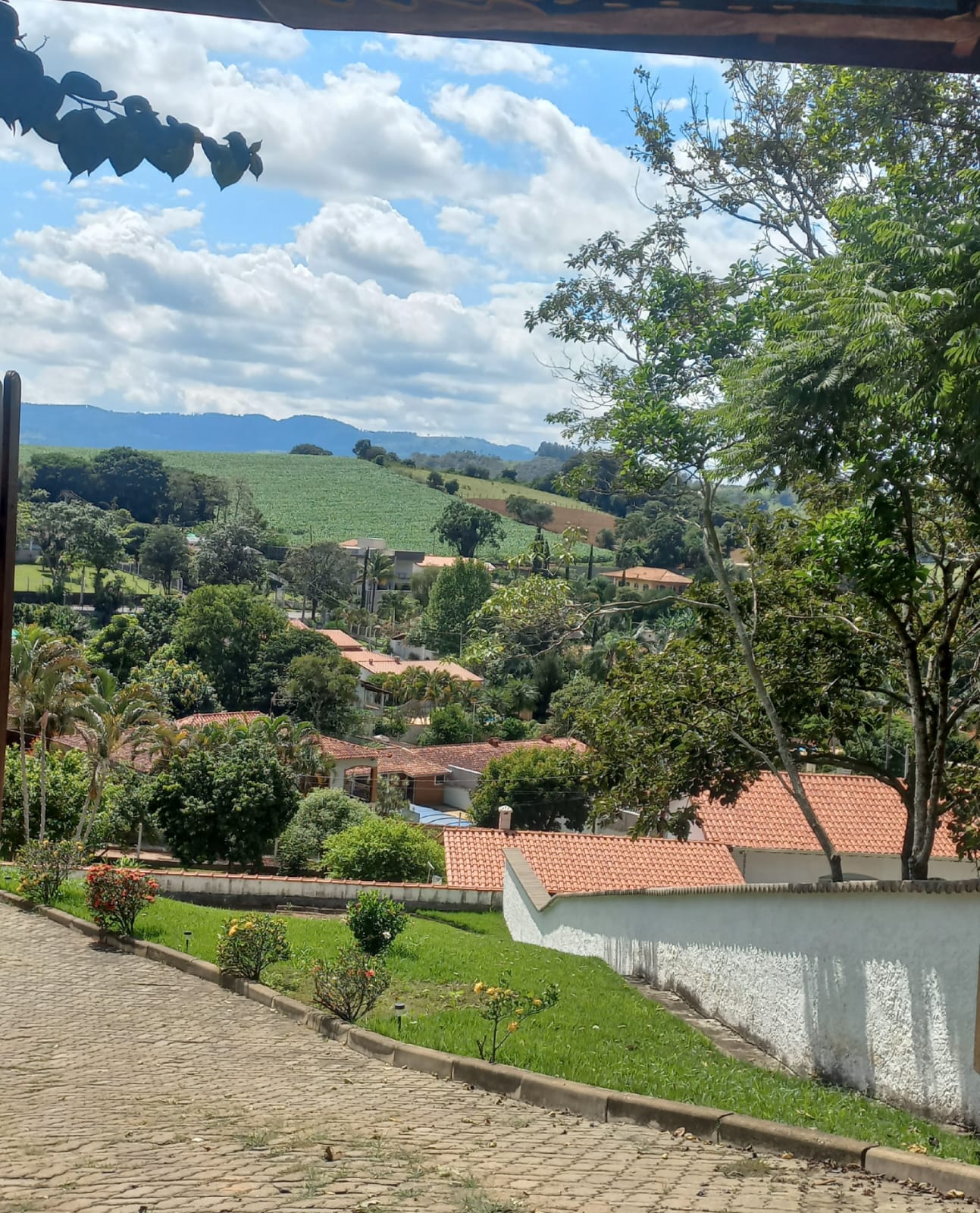 Rural com 4 Quartos à Venda, 2.100,00 m² - Foto 15