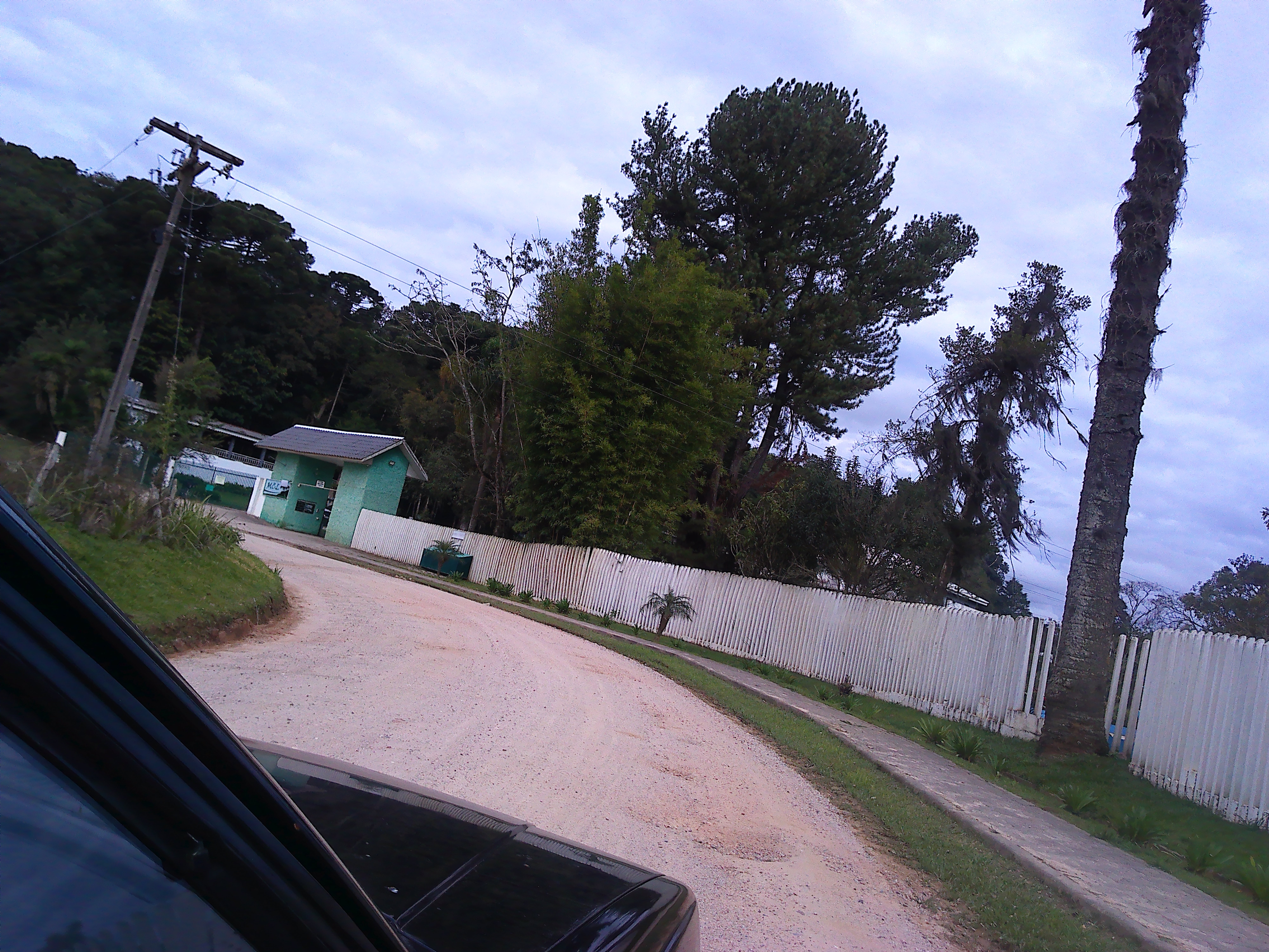 Rural com 3 Quartos à Venda, 1.237,22 m² - Foto 3