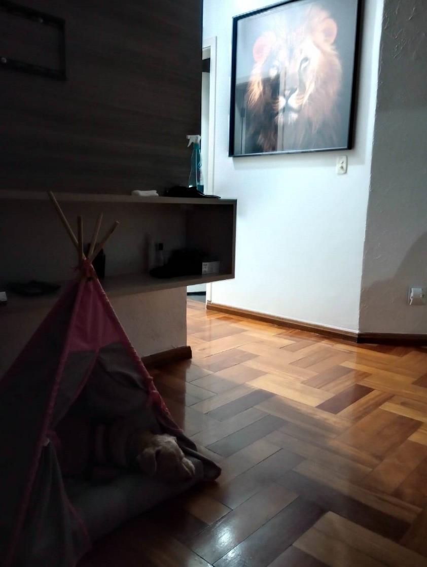 Casa com 4 Quartos à Venda, 500,00 m² - Foto 7