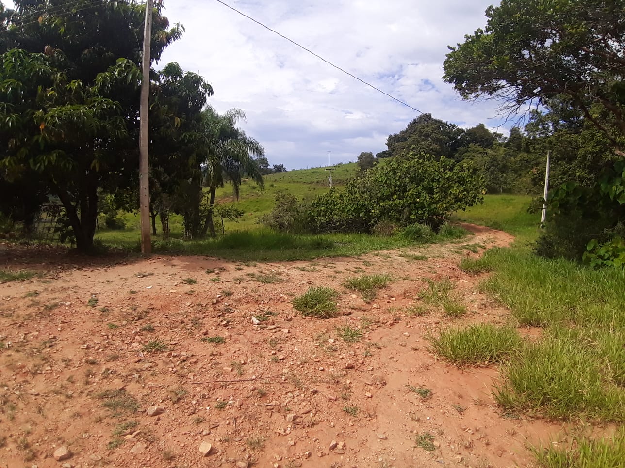 Rural com 3 Quartos à Venda, 314.600,00 m² - Foto 1