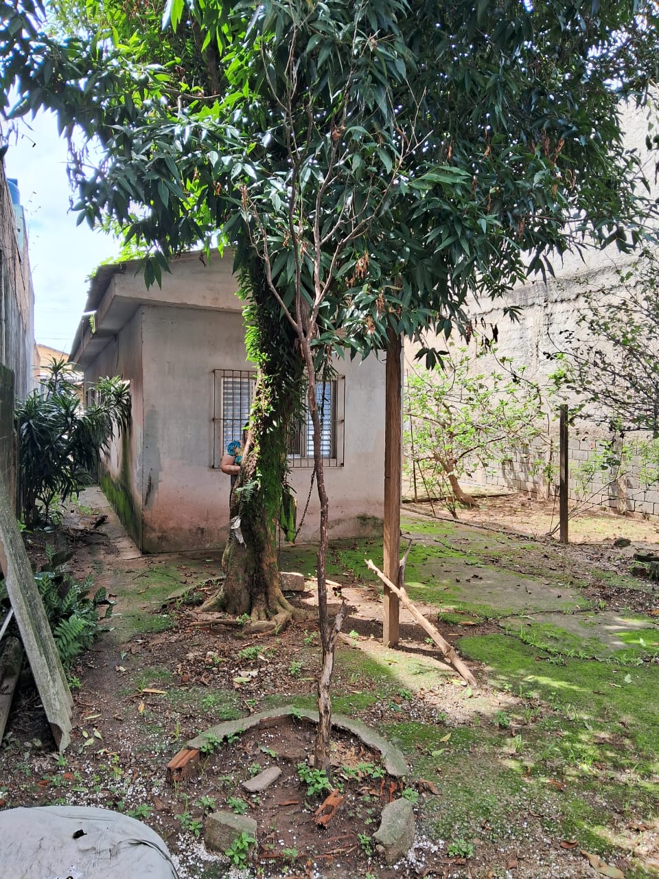 Terreno à Venda, 467,52 m² - Foto 11