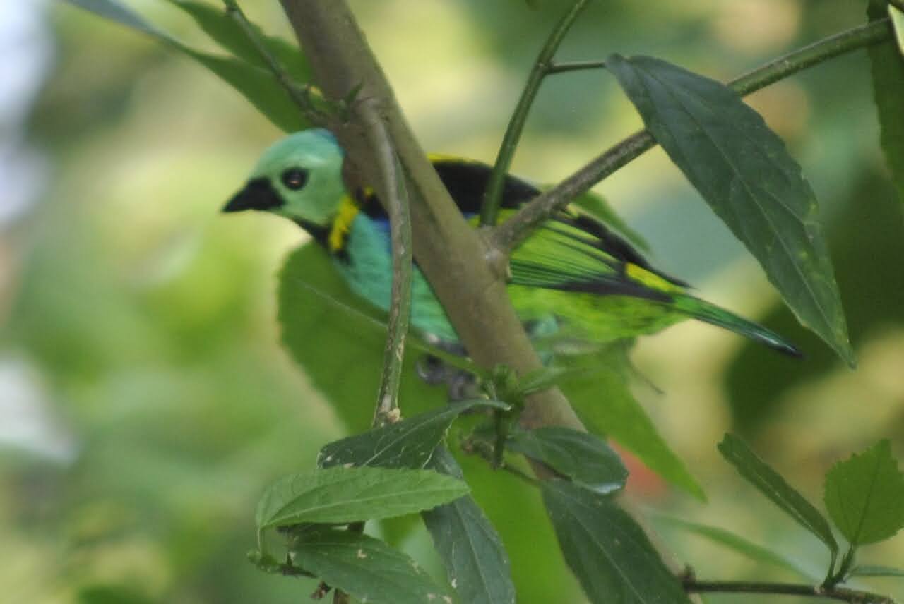 Casa com 2 Quartos para Temporada, 3.000,00 m² - Foto 14