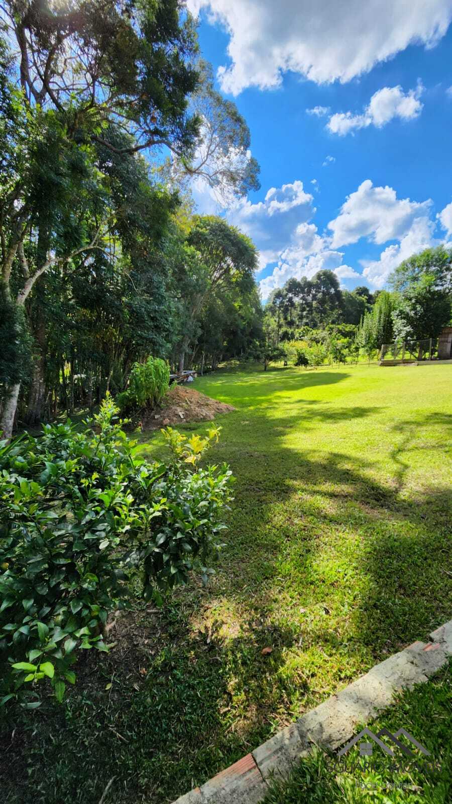 Rural com 3 Quartos à Venda, 3.000,00 m² - Foto 16