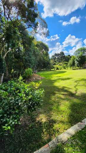 Rural com 3 Quartos à Venda, 3.000,00 m² - Foto 16
