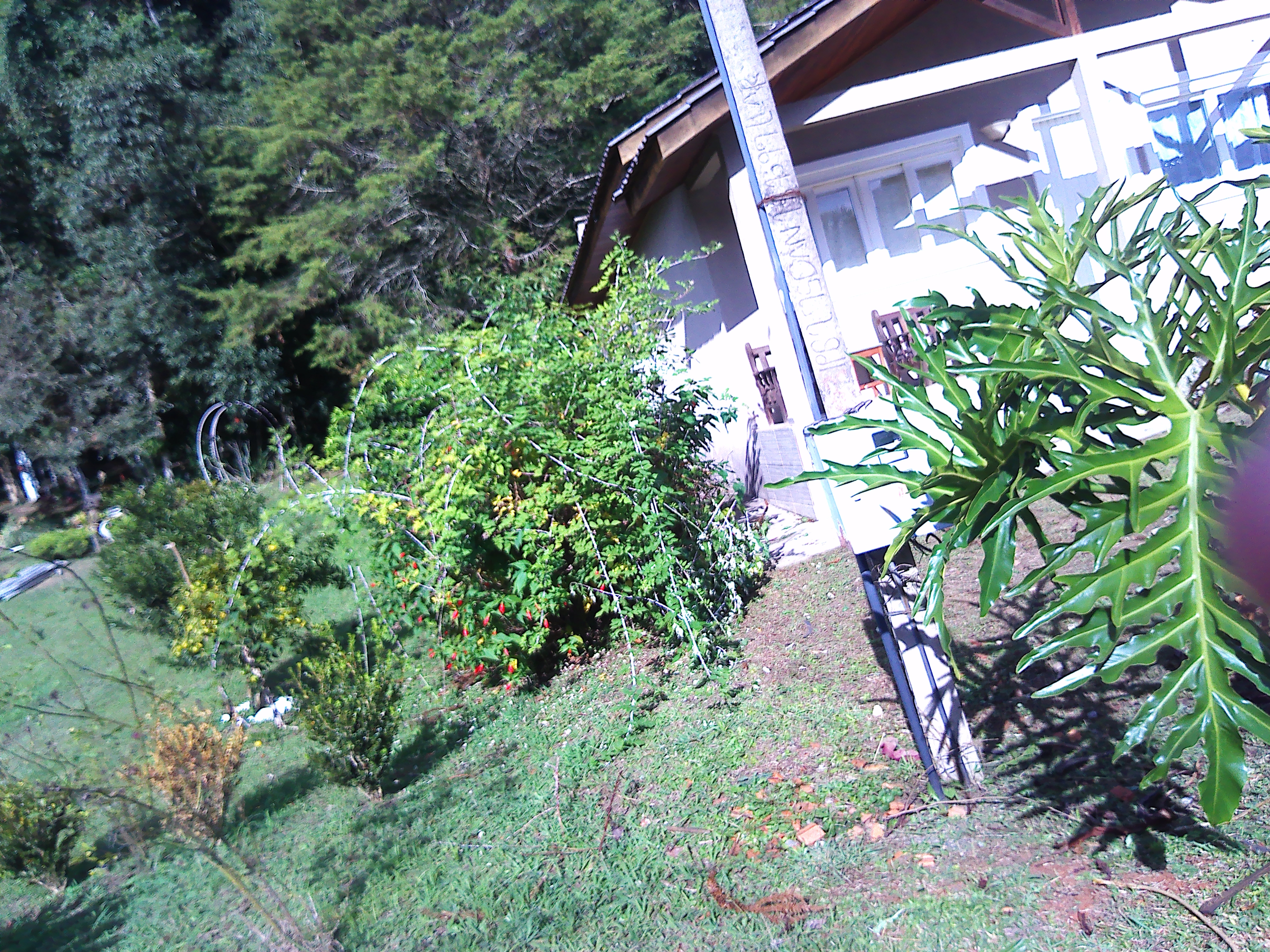 Rural com 3 Quartos à Venda, 1.237,22 m² - Foto 92