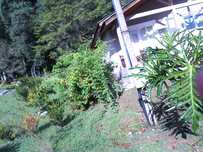 Rural com 3 Quartos à Venda, 1.237,22 m² - Foto 92