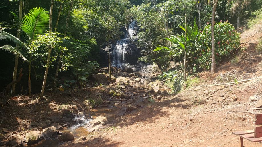 Rural com 2 Quartos à Venda - Foto 1