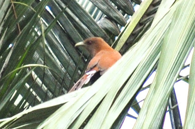 Casa com 2 Quartos para Temporada, 3.000,00 m² - Foto 13