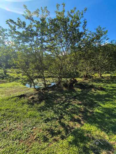 Rural à Venda, 84.700,00 m² - Foto 62