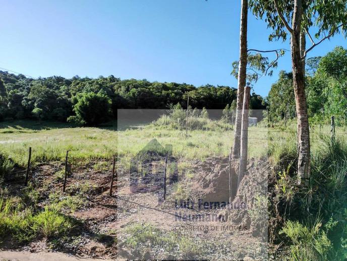 Rural à Venda - Foto 4