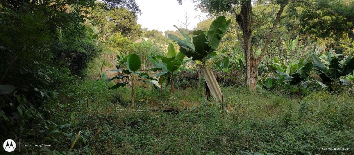 Terreno à Venda, 20.000,00 m² - Foto 8
