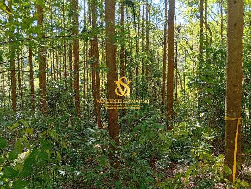 Rural à Venda, 24.600,00 m² - Foto 3