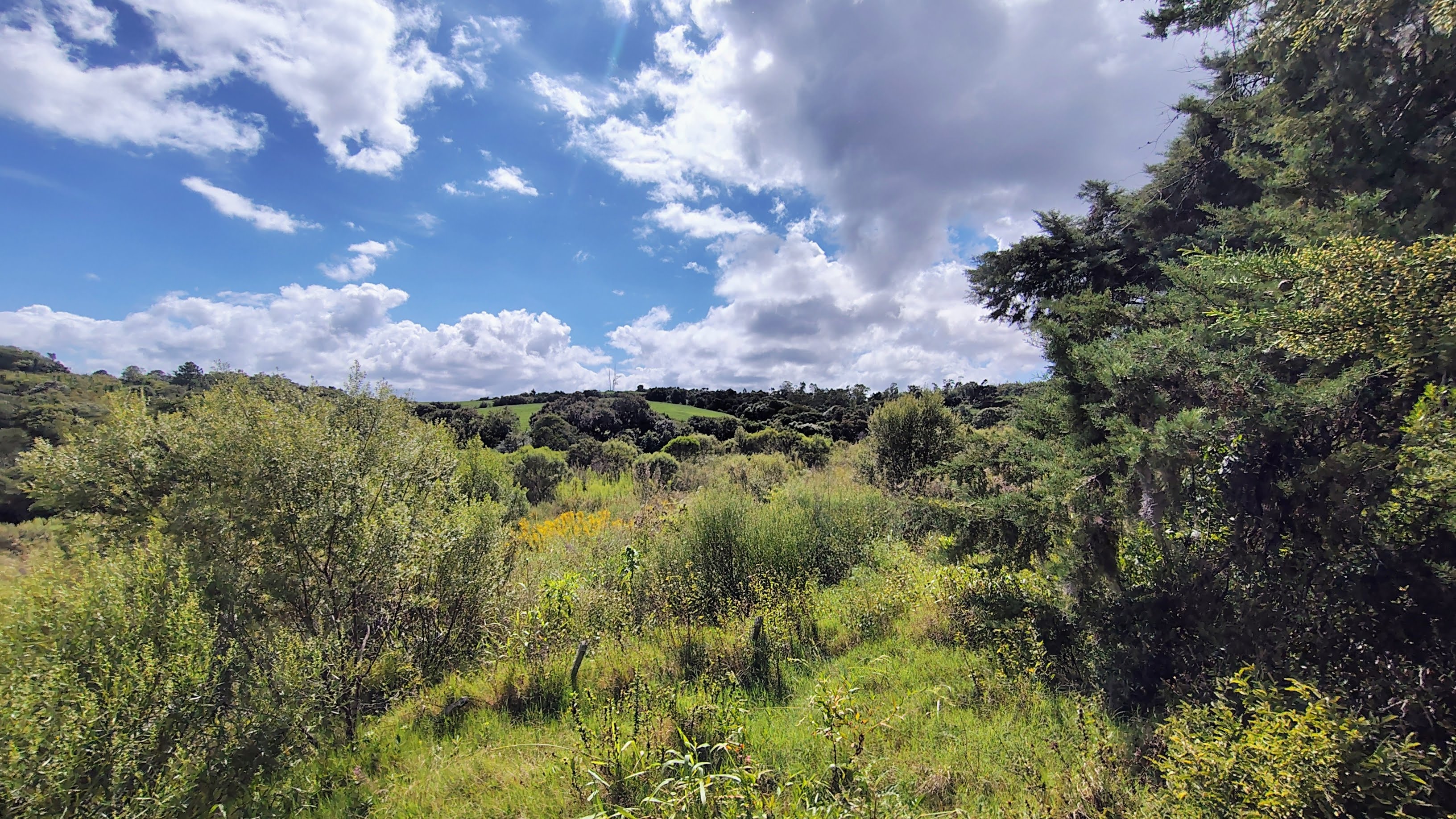 Rural à Venda, 16,00 m² - Foto 3