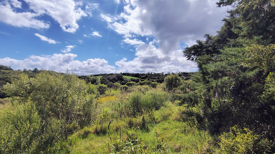 Rural à Venda, 16,00 m² - Foto 3