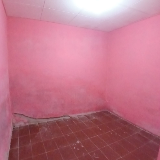 Casa com 3 Quartos à Venda - Foto 4