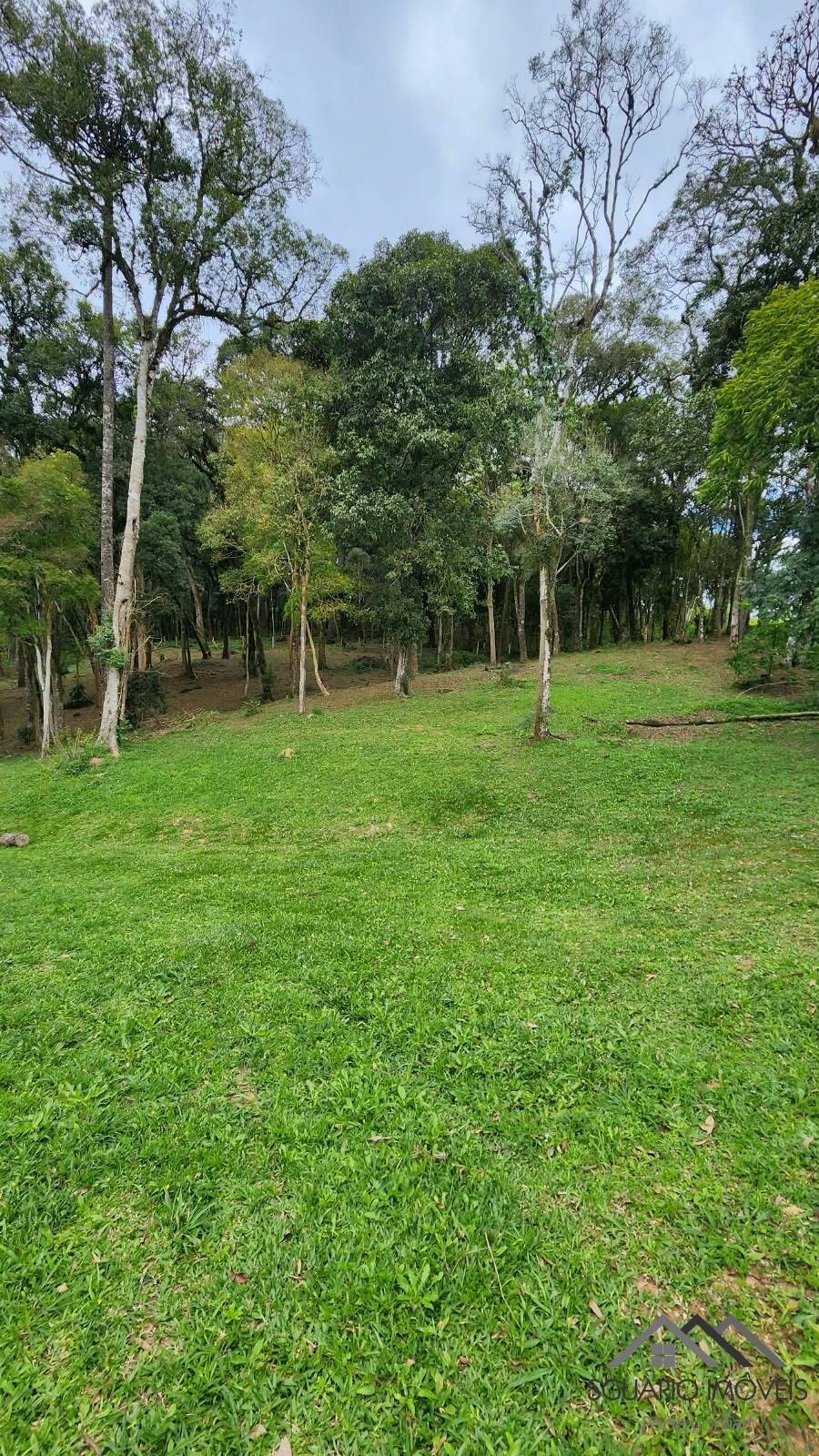 Terreno à Venda, 17.000,00 m² - Foto 7
