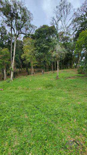 Terreno à Venda, 17.000,00 m² - Foto 7