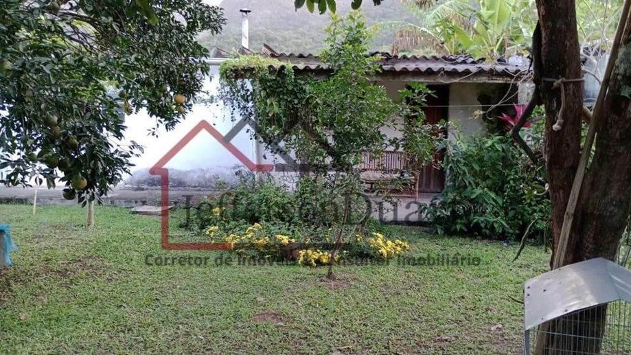 Rural com 3 Quartos à Venda, 2.500,00 m² - Foto 10