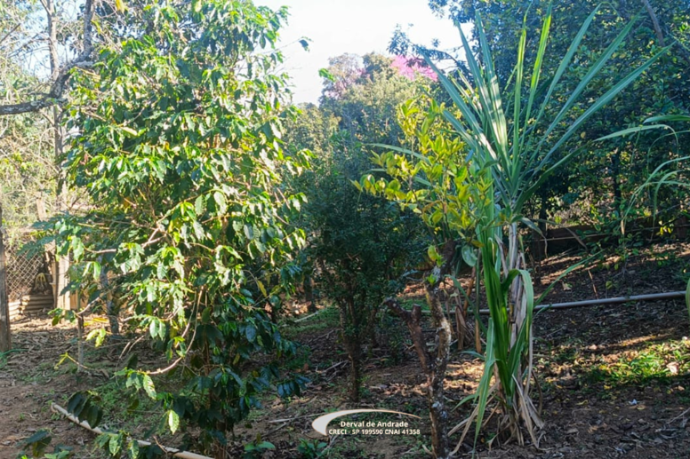 Rural com 2 Quartos à Venda, 1.411,00 m² - Foto 13