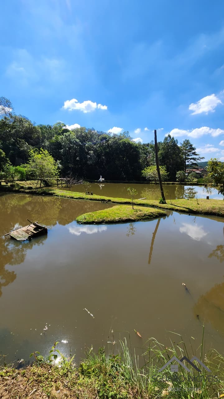 Rural à Venda, 6.530,00 m² - Foto 18