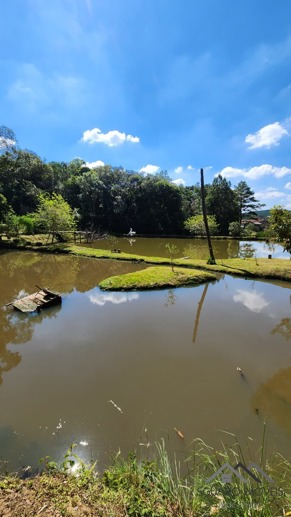 Rural à Venda, 6.530,00 m² - Foto 18