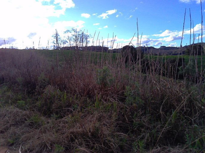 Rural com 3 Quartos à Venda, 24.946,87 m² - Foto 50