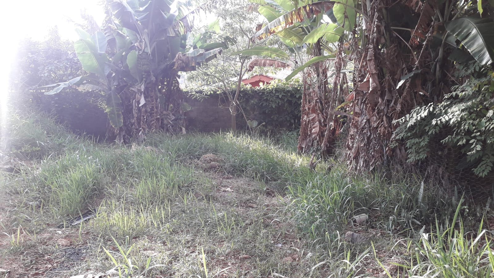 Terreno à Venda, 300,00 m² - Foto 5