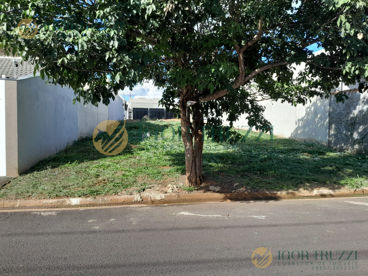 Terreno à Venda, 220,00 m² - Foto 1