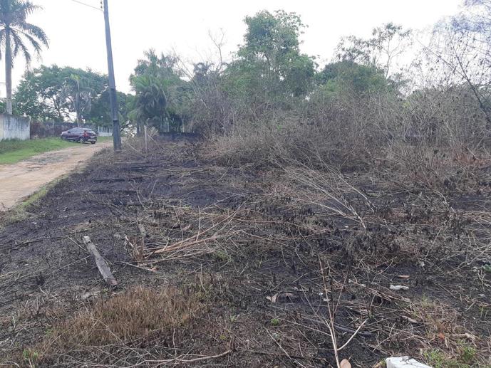 Terreno à Venda, 2.000,00 m² - Foto 8