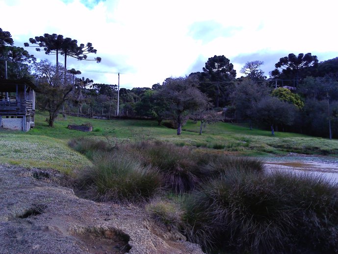 Rural com 3 Quartos à Venda, 24.946,87 m² - Foto 24