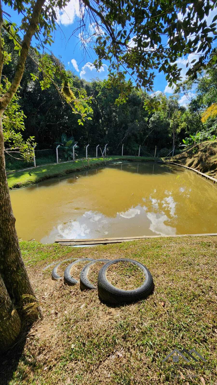 Rural com 3 Quartos à Venda, 3.000,00 m² - Foto 17
