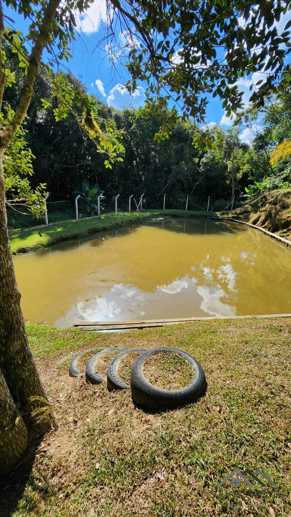 Rural com 3 Quartos à Venda, 3.000,00 m² - Foto 17
