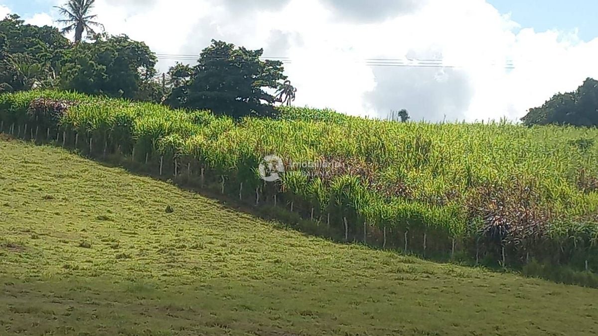 Rural com 5 Quartos à Venda, 868,00 m² - Foto 30