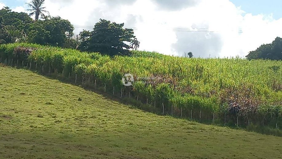 Rural com 5 Quartos à Venda, 868,00 m² - Foto 30
