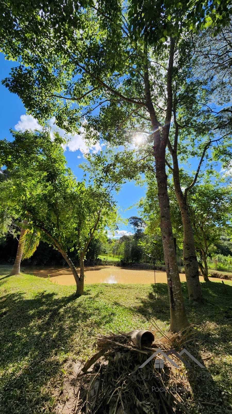 Rural à Venda, 3.025,00 m² - Foto 12