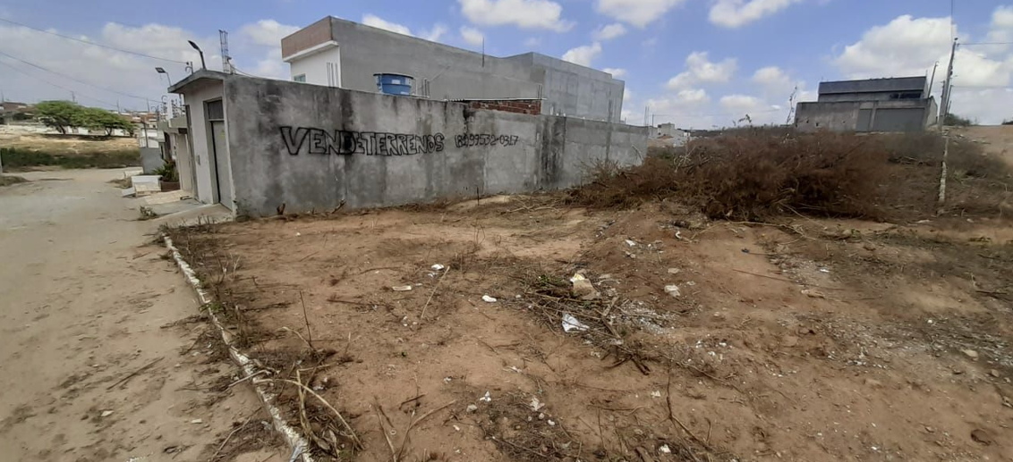 Terreno à Venda - Foto 2