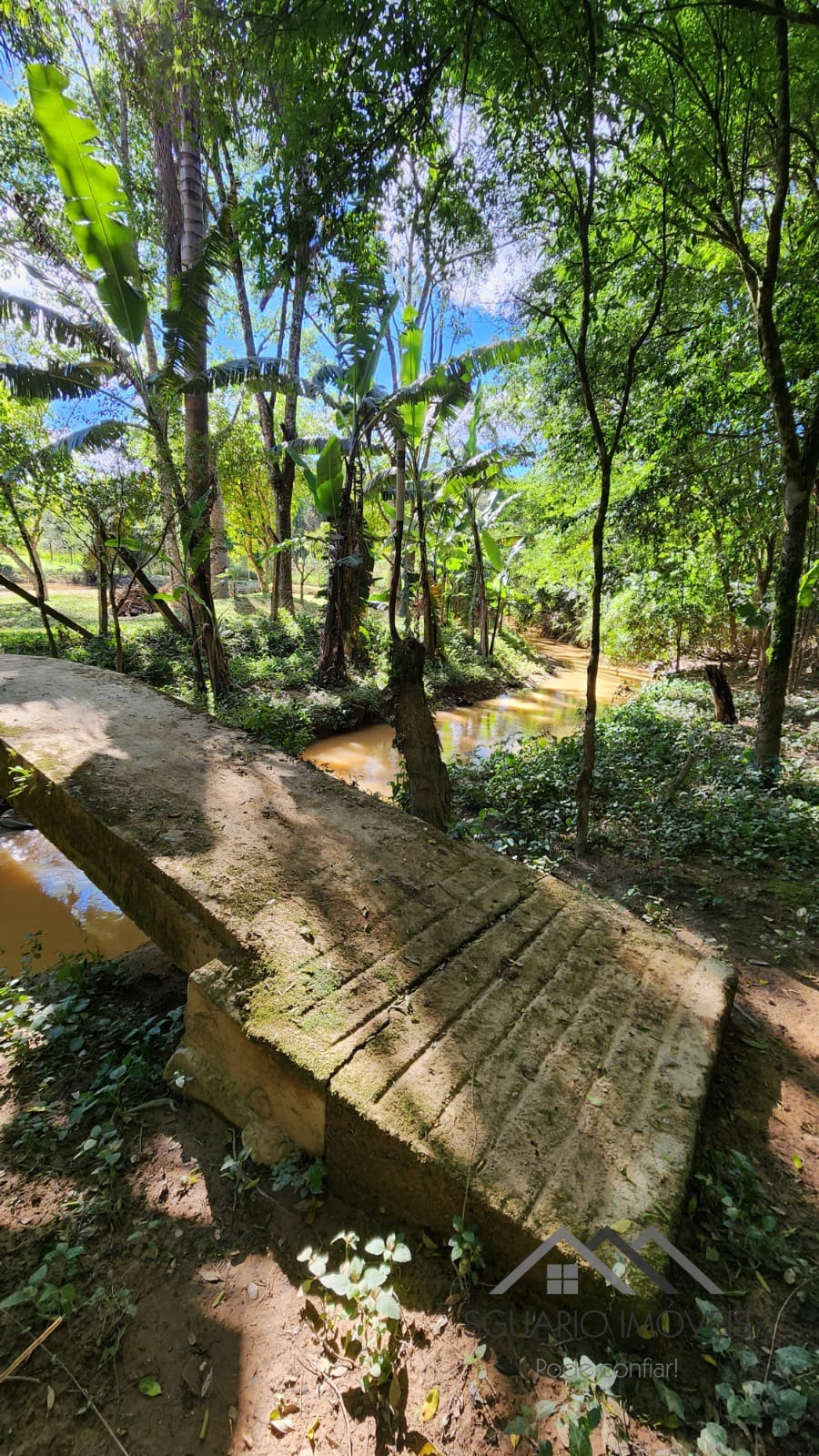Rural à Venda, 3.025,00 m² - Foto 13