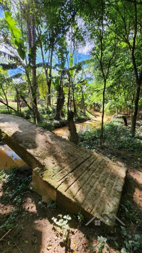 Rural à Venda, 3.025,00 m² - Foto 13