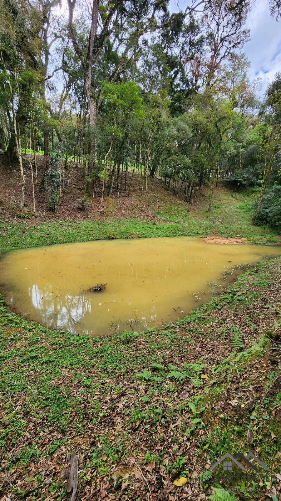 Terreno à Venda, 17.000,00 m² - Foto 10