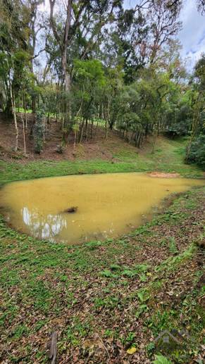 Terreno à Venda, 17.000,00 m² - Foto 10