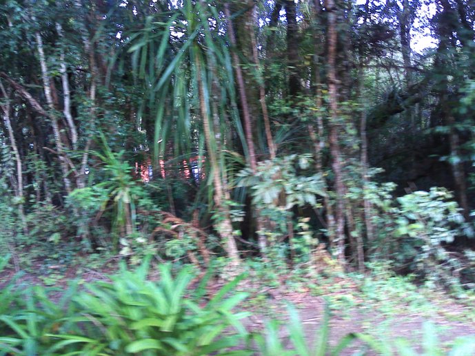 Rural com 3 Quartos à Venda, 1.237,22 m² - Foto 85