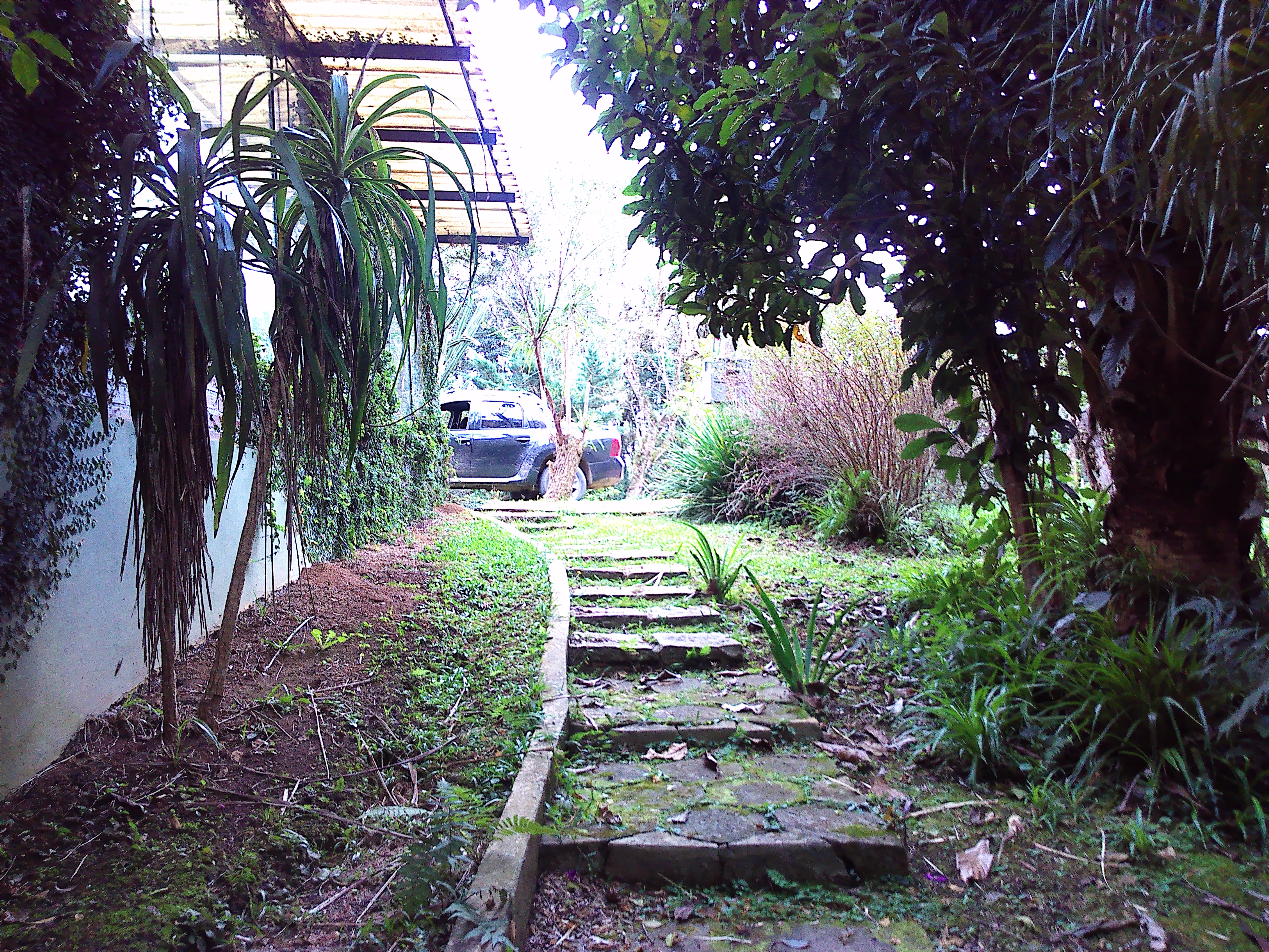 Rural com 3 Quartos à Venda, 1.237,22 m² - Foto 77