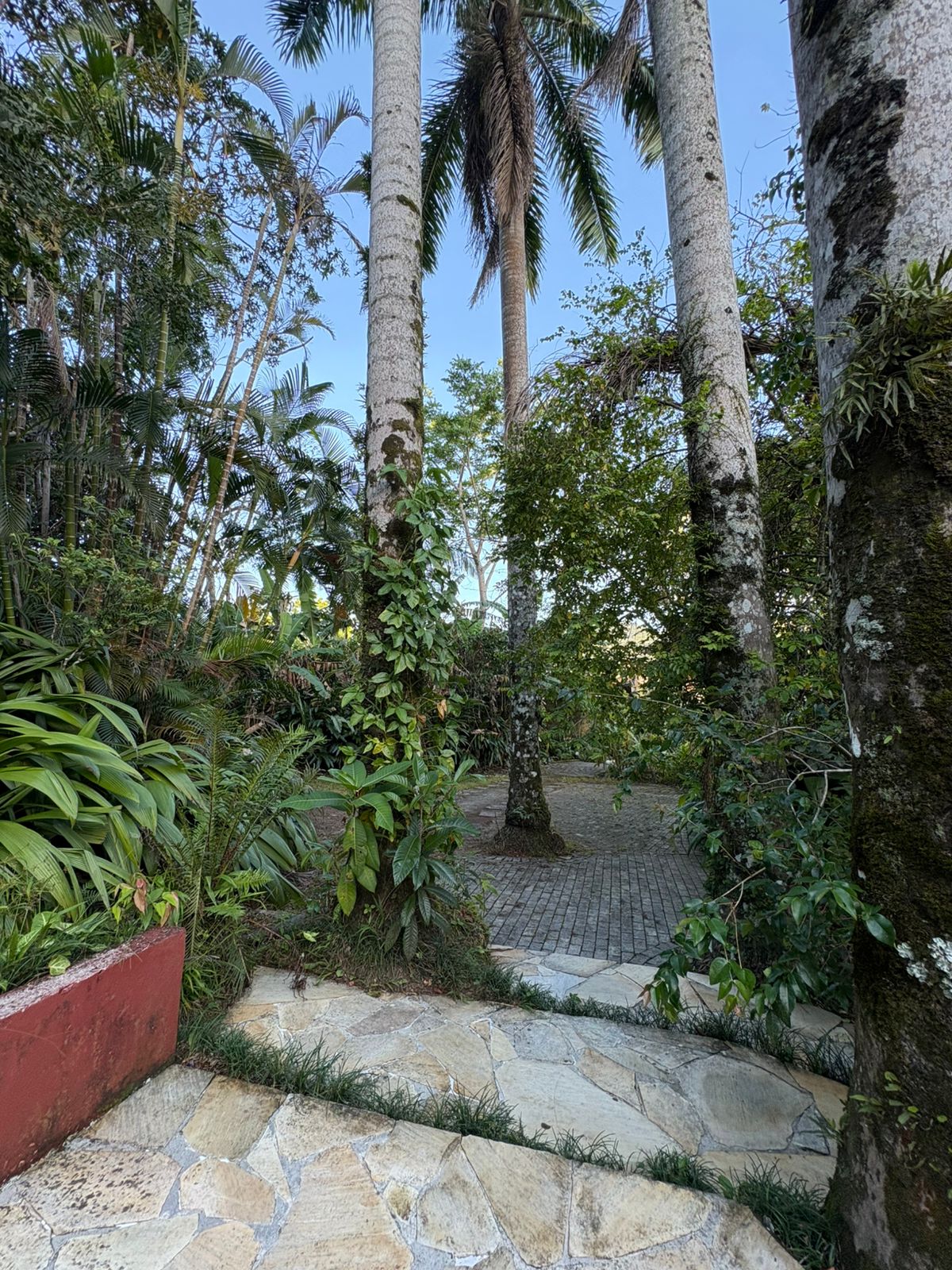 Casa com 3 Quartos para Temporada, 2.900,00 m² - Foto 41