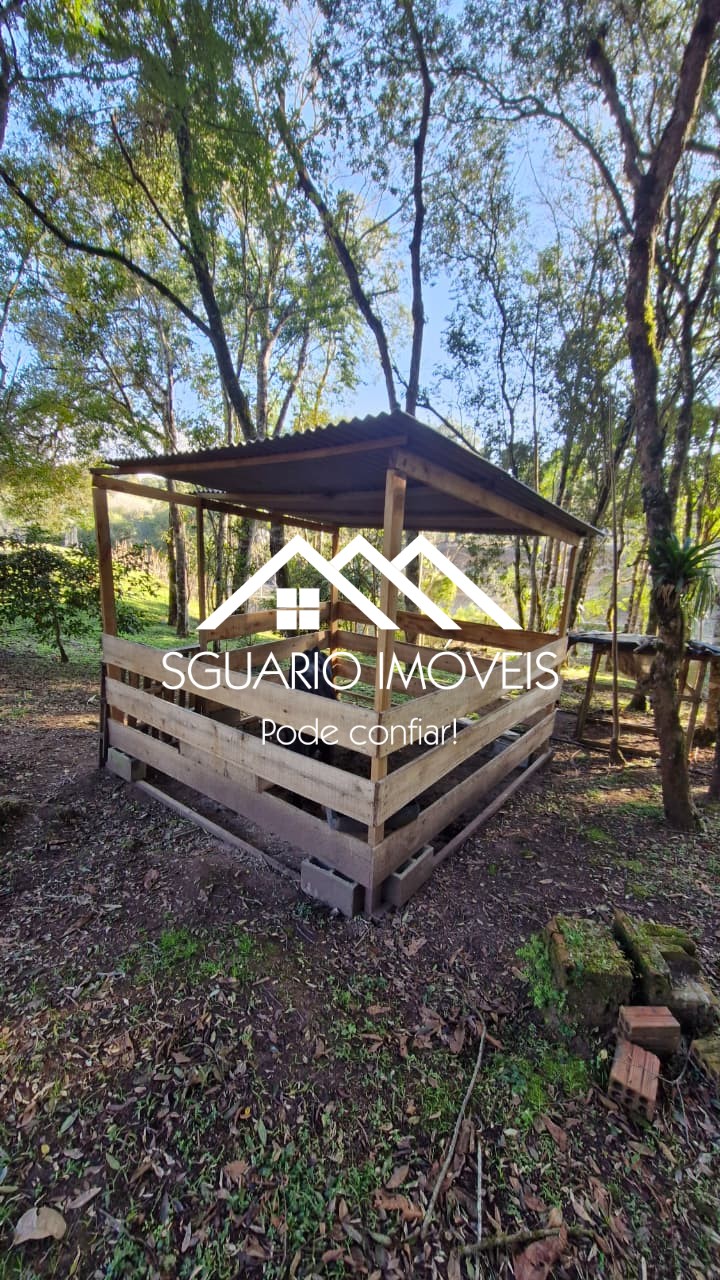 Rural com 4 Quartos à Venda, 7.865,00 m² - Foto 23