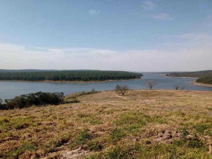 Rural à Venda - Foto 13