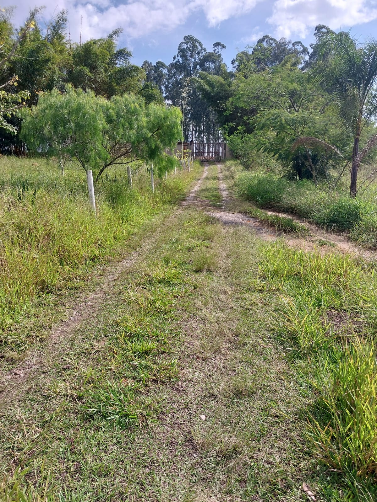 Terreno à Venda, 1.000,00 m² - Foto 4