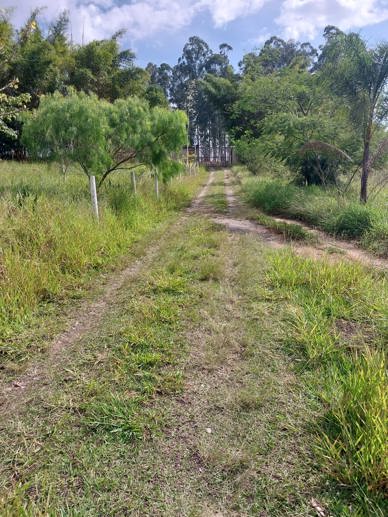 Terreno à Venda, 1.000,00 m² - Foto 4