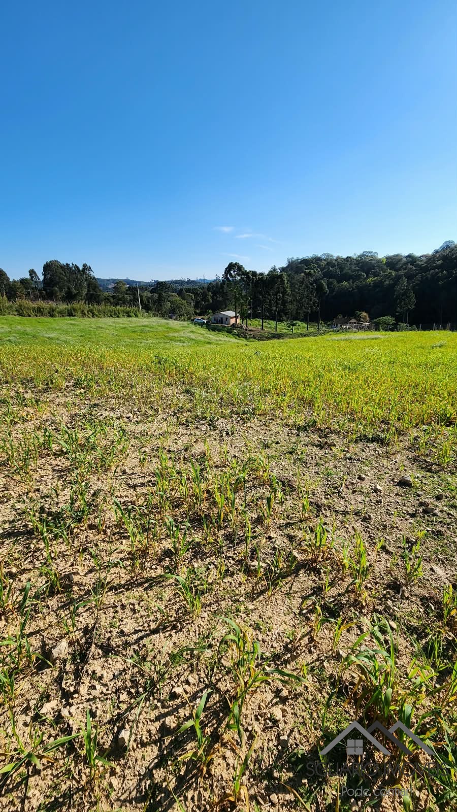 Rural à Venda, 24.200,00 m² - Foto 4
